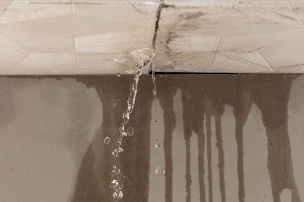 Professional Structural Drying technician working in Aripeka, FL